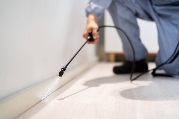 Professional exterminator conducting IPM assessment in Fremont Hills