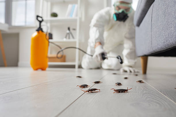 Commercial Rodent Management in Fremont Hills